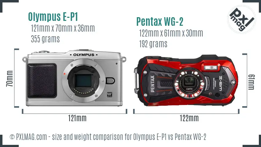 Olympus E-P1 vs Pentax WG-2 size comparison