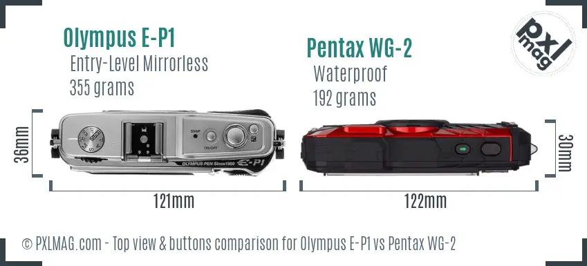 Olympus E-P1 vs Pentax WG-2 top view buttons comparison