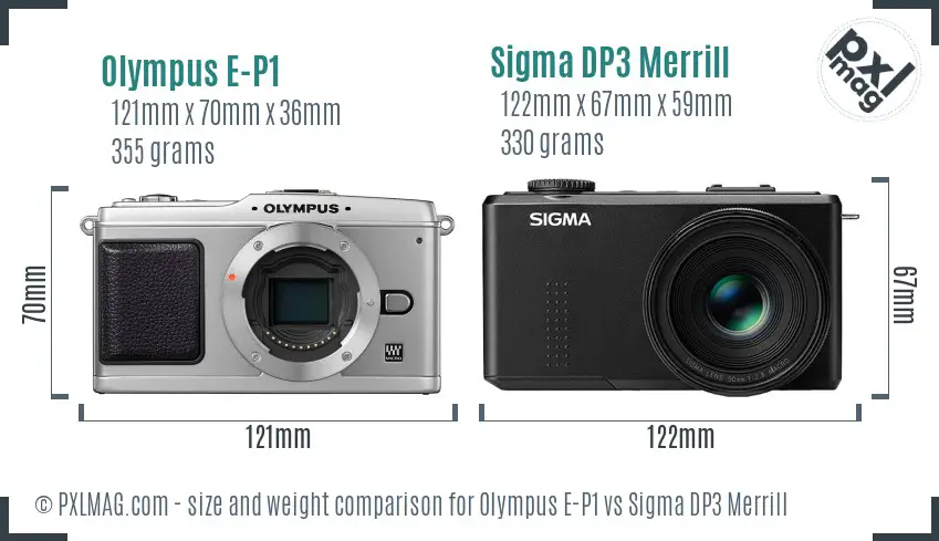 Olympus E-P1 vs Sigma DP3 Merrill size comparison