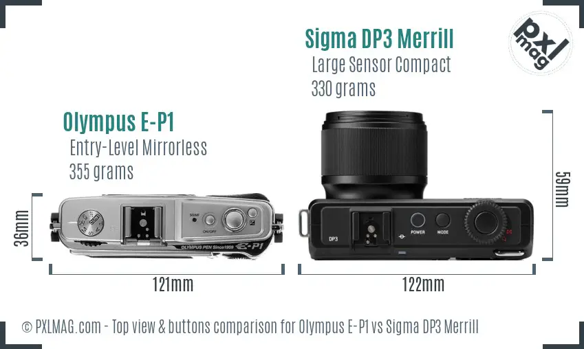 Olympus E-P1 vs Sigma DP3 Merrill top view buttons comparison