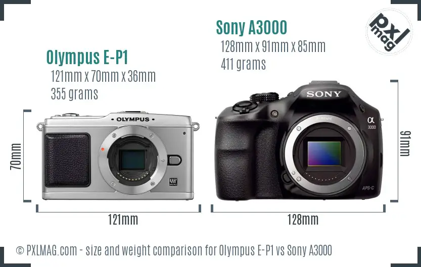 Olympus E-P1 vs Sony A3000 size comparison
