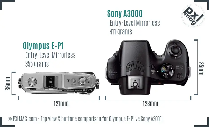 Olympus E-P1 vs Sony A3000 top view buttons comparison