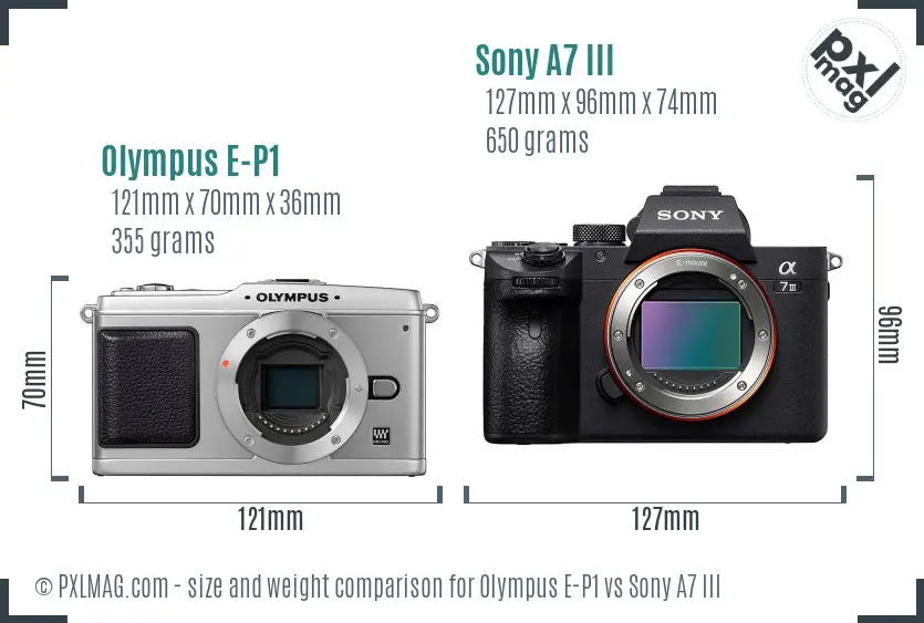 Olympus E-P1 vs Sony A7 III size comparison