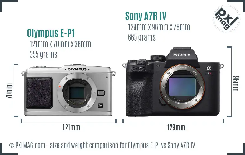 Olympus E-P1 vs Sony A7R IV size comparison