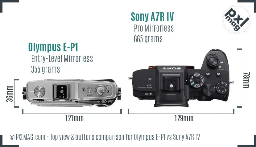 Olympus E-P1 vs Sony A7R IV top view buttons comparison