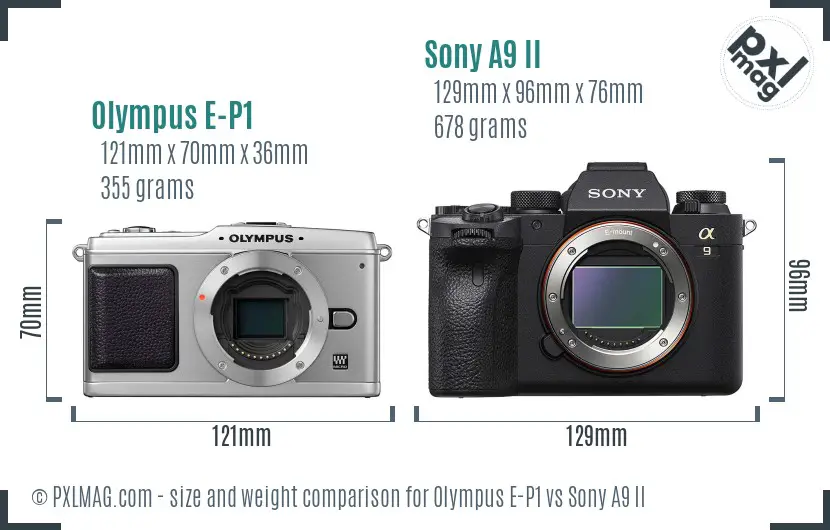 Olympus E-P1 vs Sony A9 II size comparison