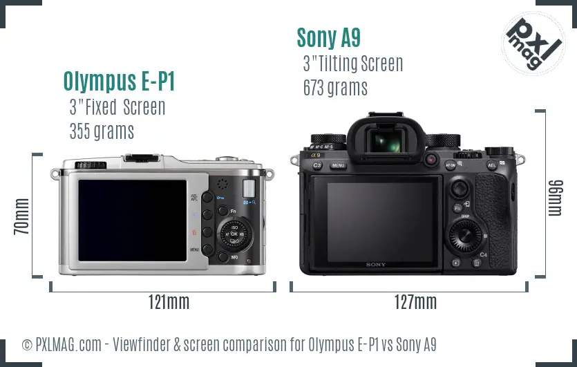 Olympus E-P1 vs Sony A9 Screen and Viewfinder comparison