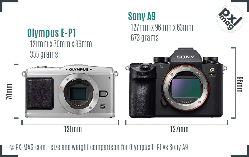 Olympus E-P1 vs Sony A9 size comparison