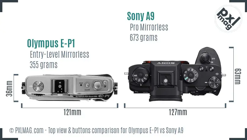 Olympus E-P1 vs Sony A9 top view buttons comparison