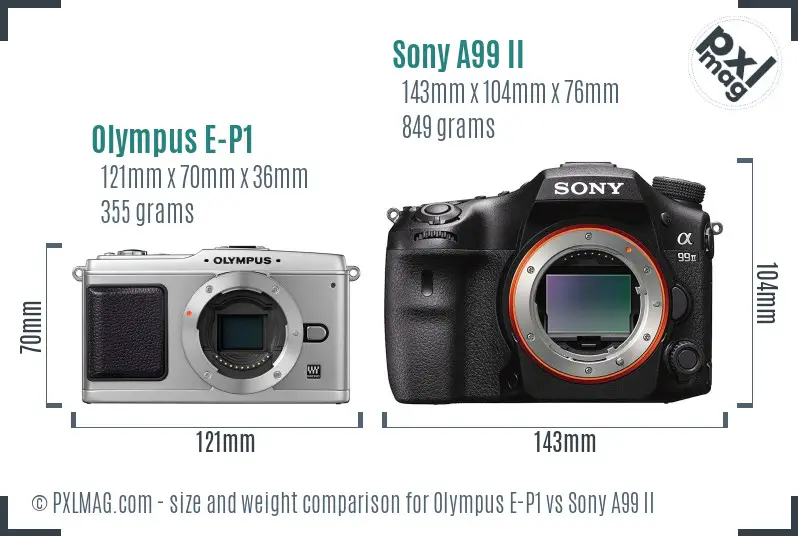 Olympus E-P1 vs Sony A99 II size comparison