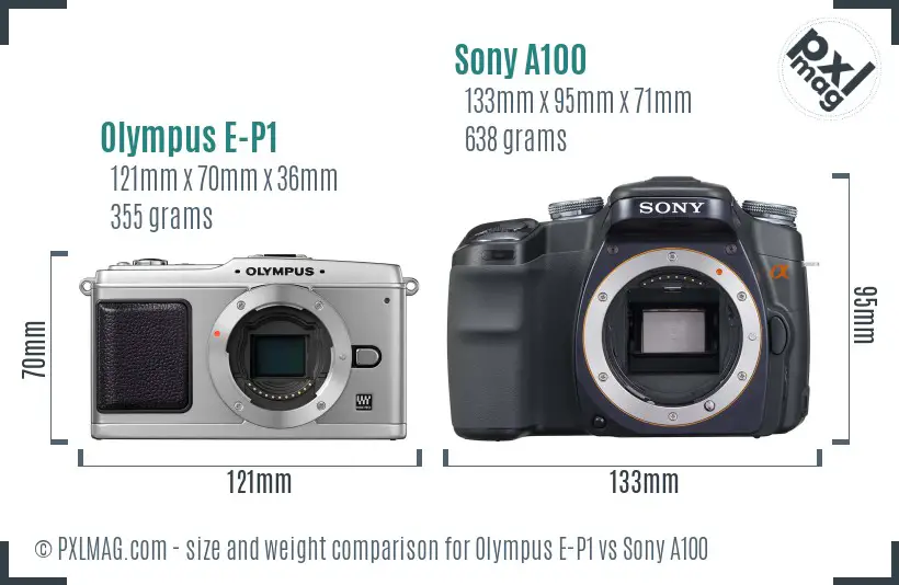 Olympus E-P1 vs Sony A100 size comparison