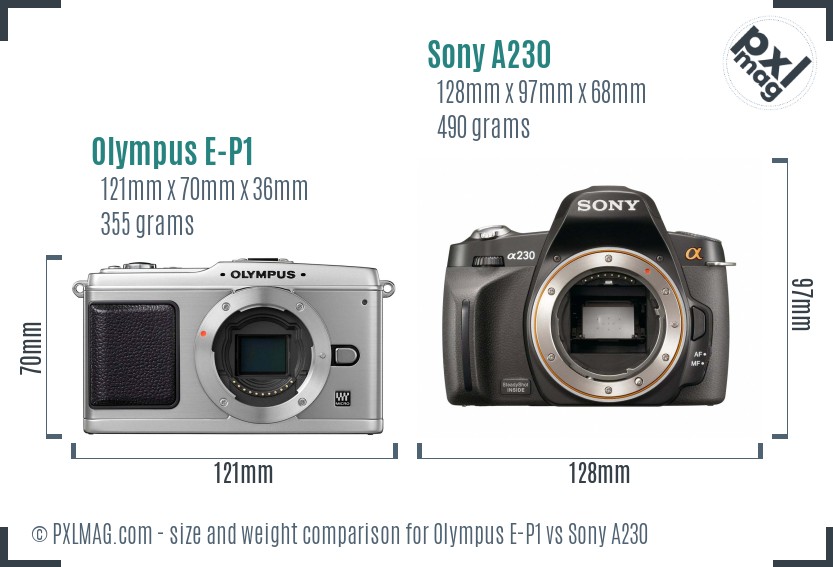 Olympus E-P1 vs Sony A230 size comparison