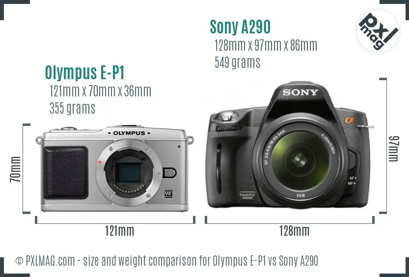 Olympus E-P1 vs Sony A290 size comparison