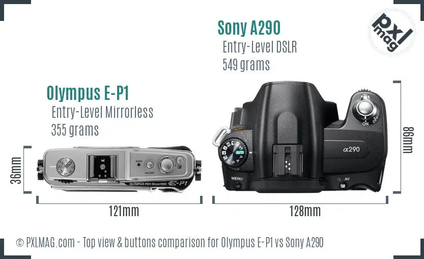 Olympus E-P1 vs Sony A290 top view buttons comparison