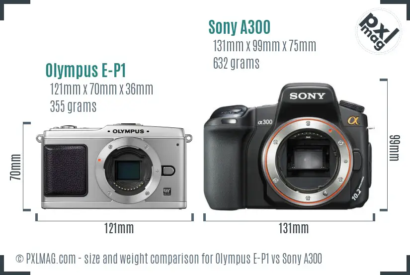 Olympus E-P1 vs Sony A300 size comparison