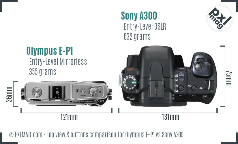 Olympus E-P1 vs Sony A300 top view buttons comparison