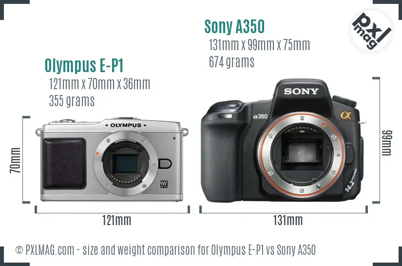 Olympus E-P1 vs Sony A350 size comparison