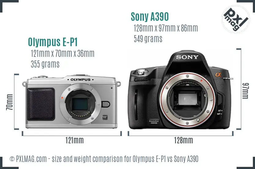 Olympus E-P1 vs Sony A390 size comparison