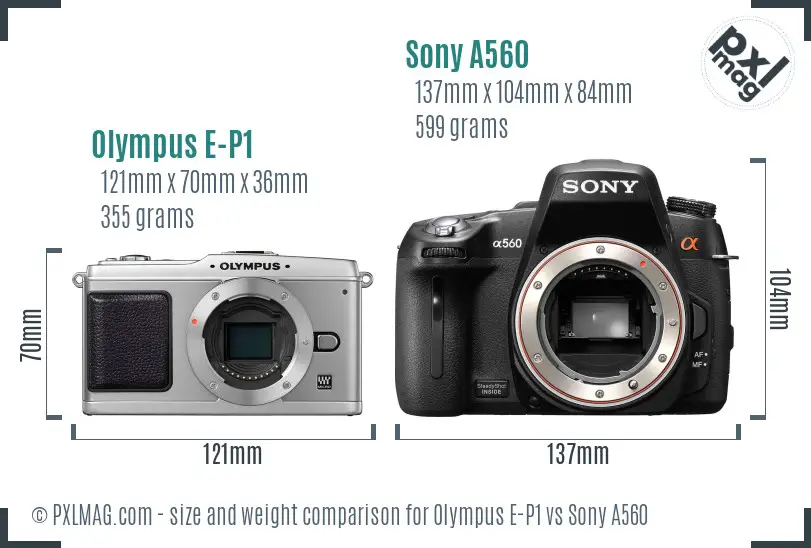 Olympus E-P1 vs Sony A560 size comparison