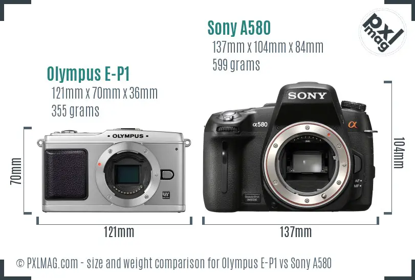 Olympus E-P1 vs Sony A580 size comparison