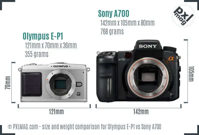 Olympus E-P1 vs Sony A700 size comparison Olympus E-P1 vs Sony A700 size comparison