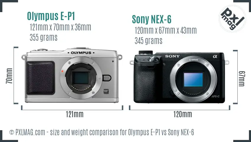 Olympus E-P1 vs Sony NEX-6 size comparison