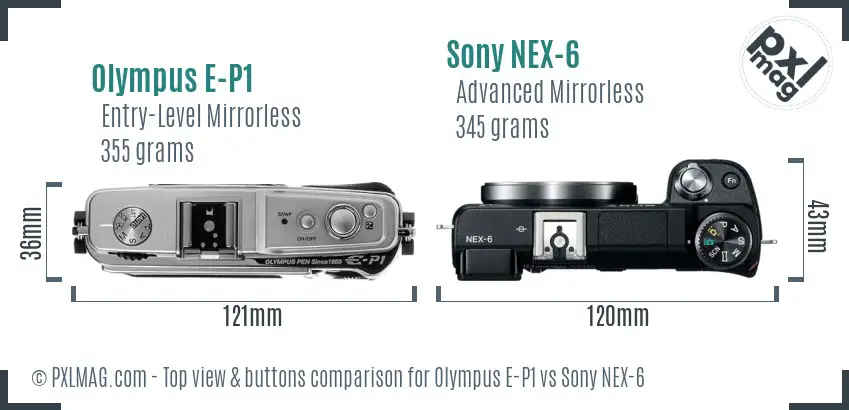 Olympus E-P1 vs Sony NEX-6 top view buttons comparison