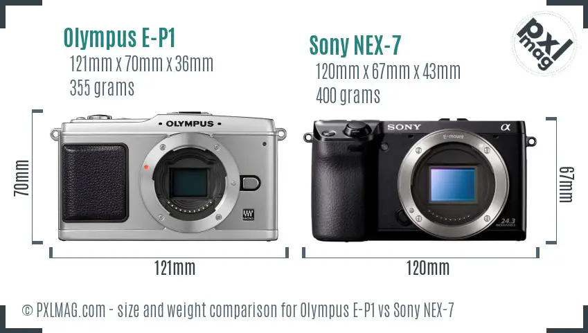 Olympus E-P1 vs Sony NEX-7 size comparison