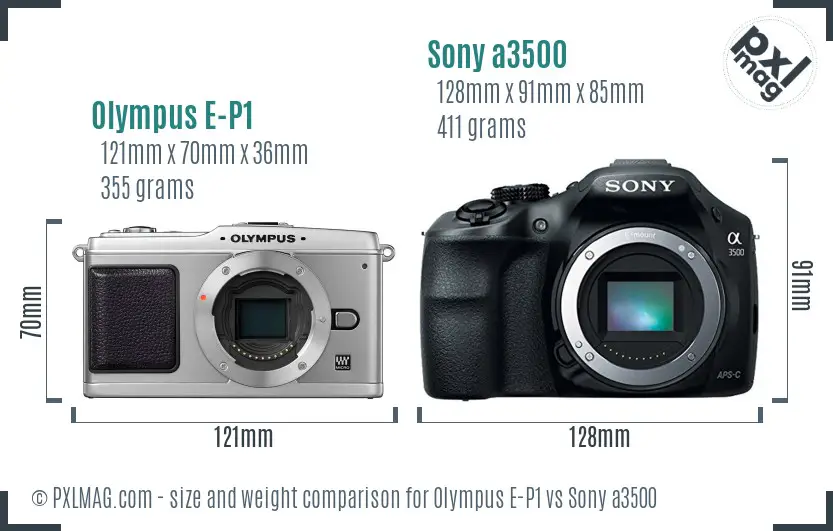 Olympus E-P1 vs Sony a3500 size comparison