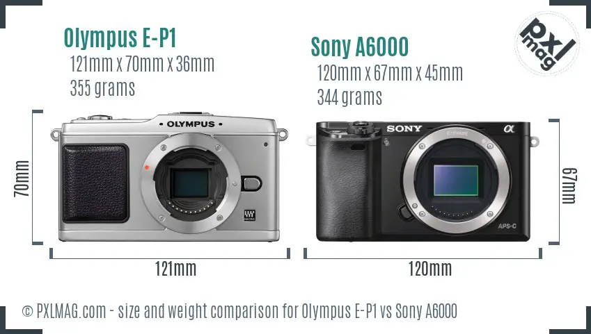 Olympus E-P1 vs Sony A6000 size comparison