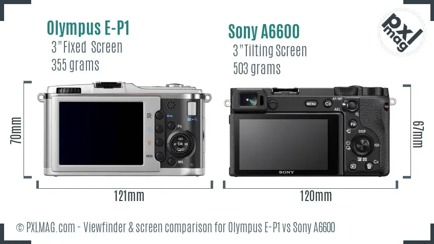 Olympus E-P1 vs Sony A6600 Screen and Viewfinder comparison