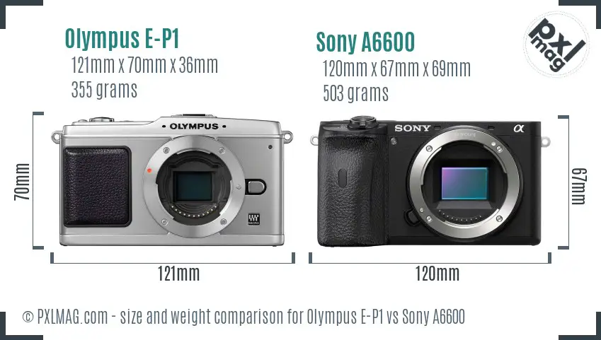 Olympus E-P1 vs Sony A6600 size comparison