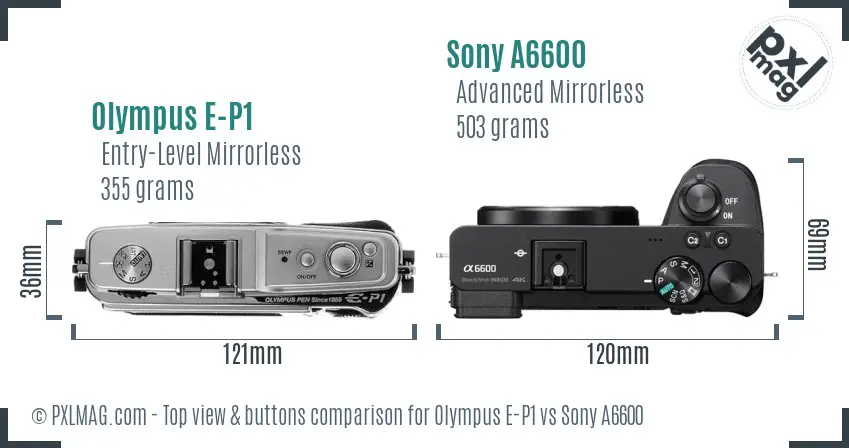 Olympus E-P1 vs Sony A6600 top view buttons comparison
