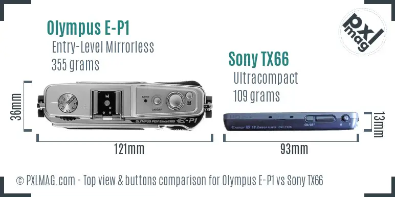 Olympus E-P1 vs Sony TX66 top view buttons comparison