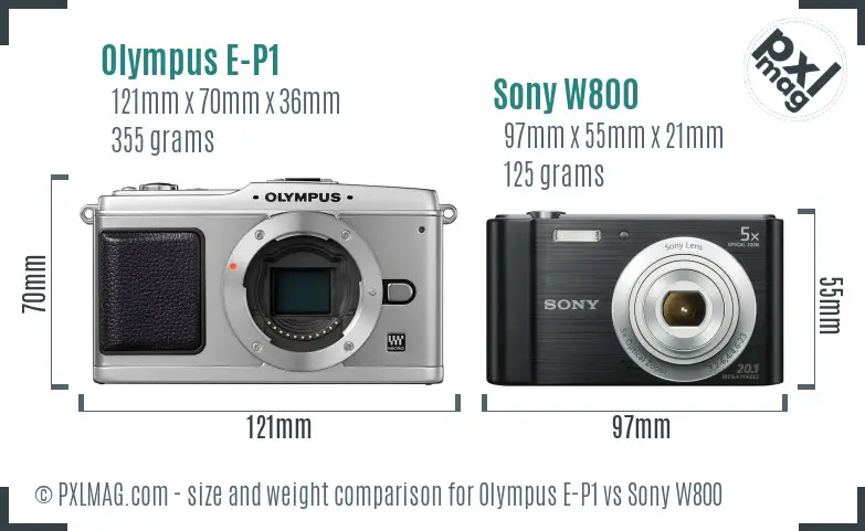 Olympus E-P1 vs Sony W800 size comparison