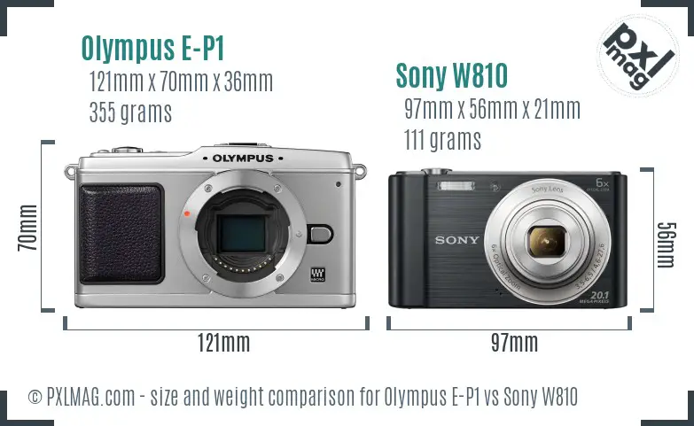 Olympus E-P1 vs Sony W810 size comparison