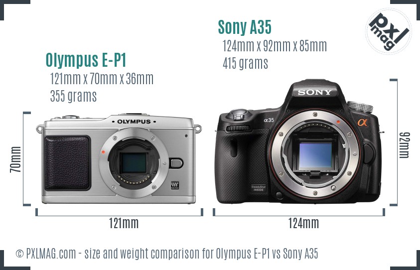 Olympus E-P1 vs Sony A35 size comparison