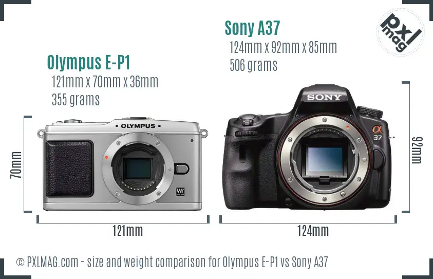 Olympus E-P1 vs Sony A37 size comparison