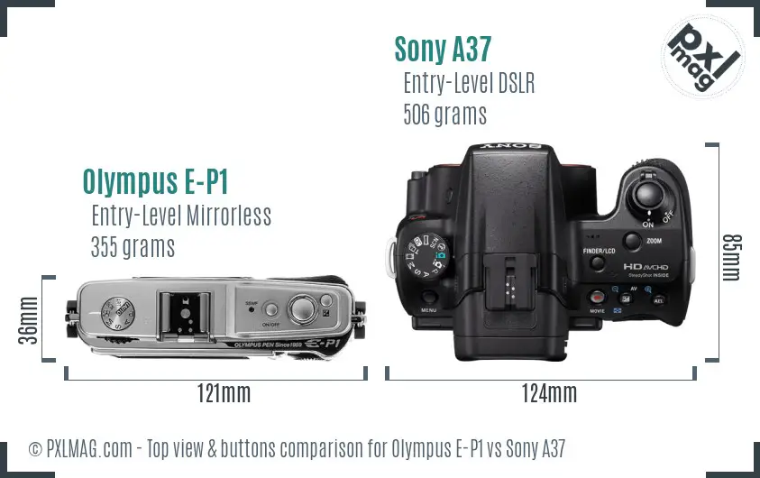 Olympus E-P1 vs Sony A37 top view buttons comparison