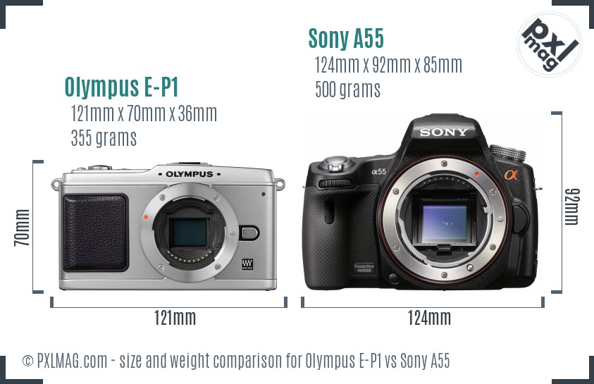 Olympus E-P1 vs Sony A55 size comparison Olympus E-P1 vs Sony A55 size comparison