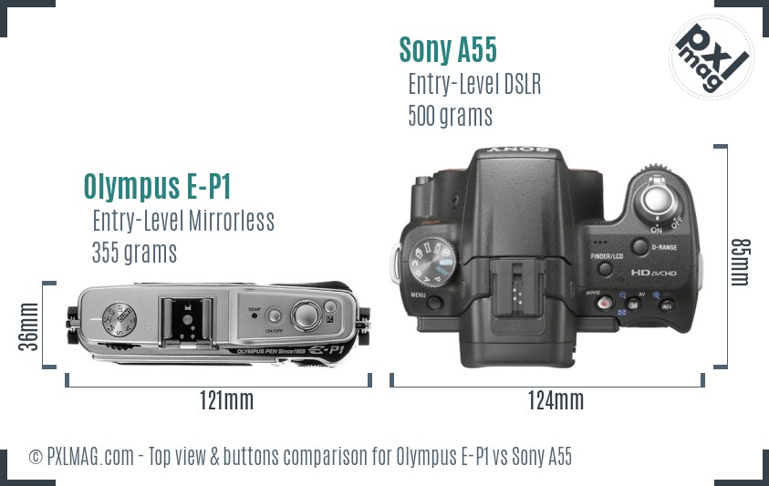 Olympus E-P1 vs Sony A55 top view buttons comparison