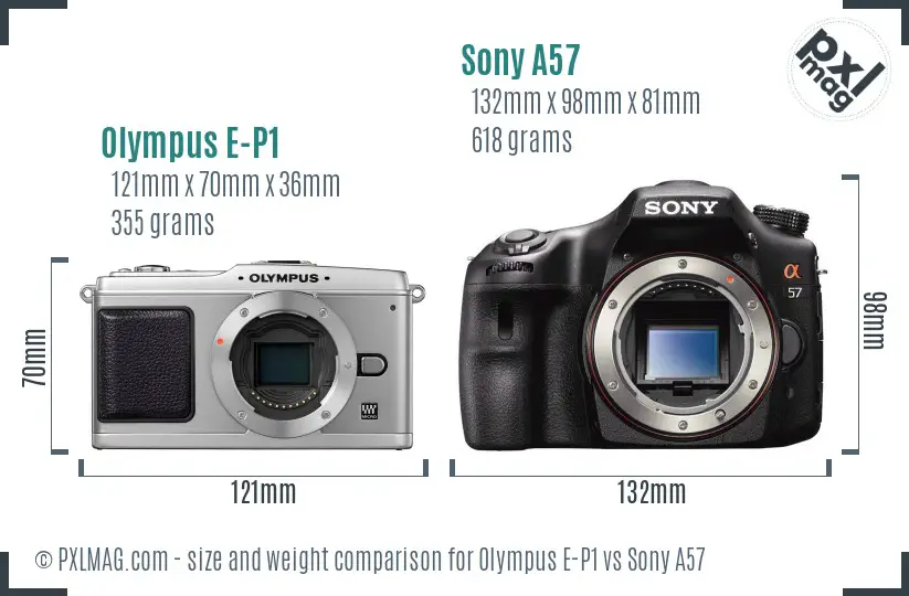 Olympus E-P1 vs Sony A57 size comparison Olympus E-P1 vs Sony A57 size comparison
