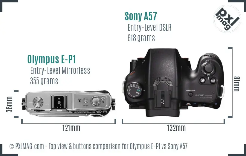 Olympus E-P1 vs Sony A57 top view buttons comparison Olympus E-P1 vs Sony A57 top view buttons comparison