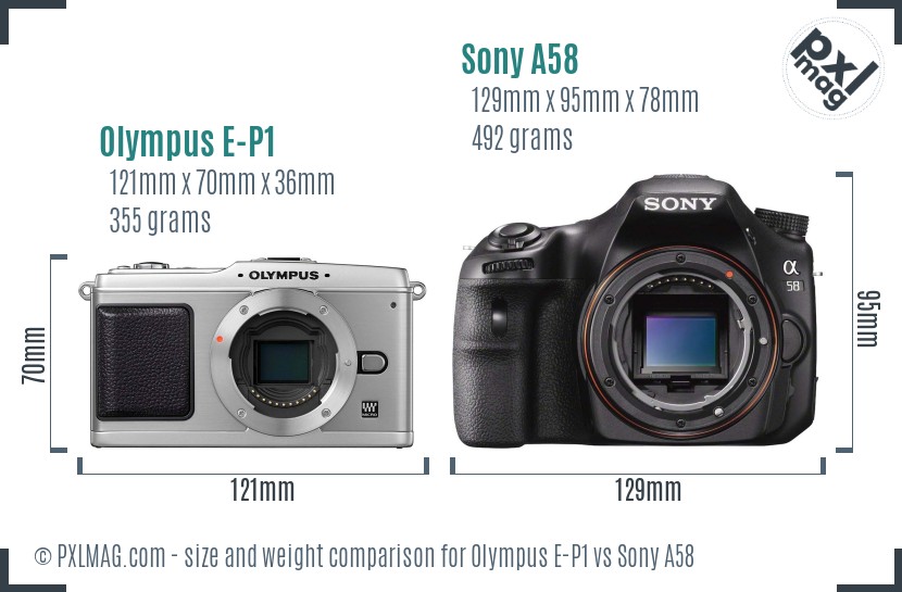 Olympus E-P1 vs Sony A58 size comparison