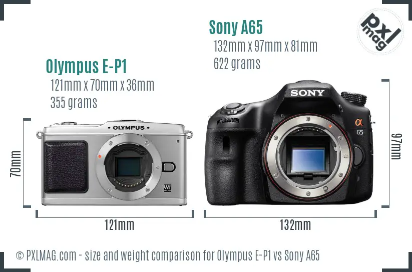 Olympus E-P1 vs Sony A65 size comparison