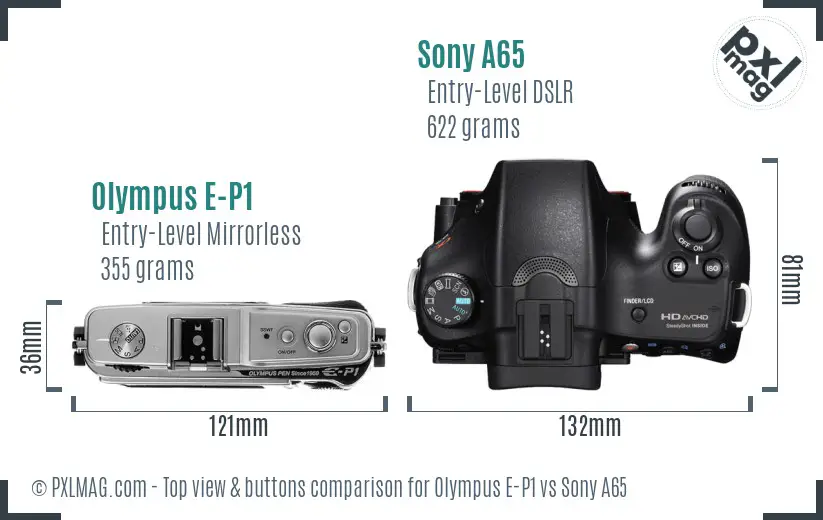 Olympus E-P1 vs Sony A65 top view buttons comparison