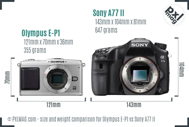 Olympus E-P1 vs Sony A77 II size comparison