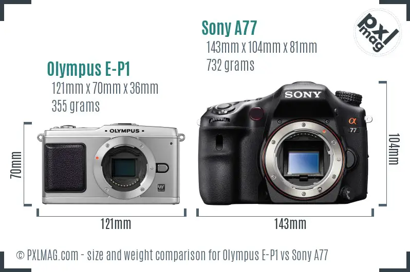 Olympus E-P1 vs Sony A77 size comparison
