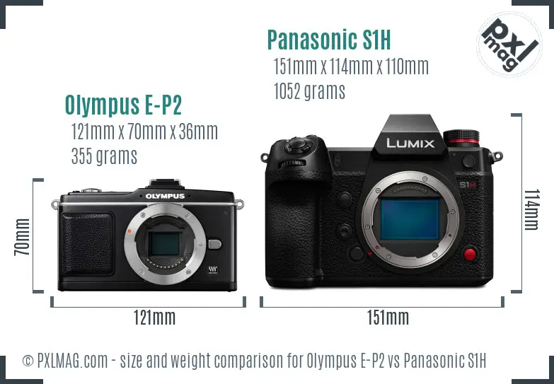 Olympus E-P2 vs Panasonic S1H size comparison