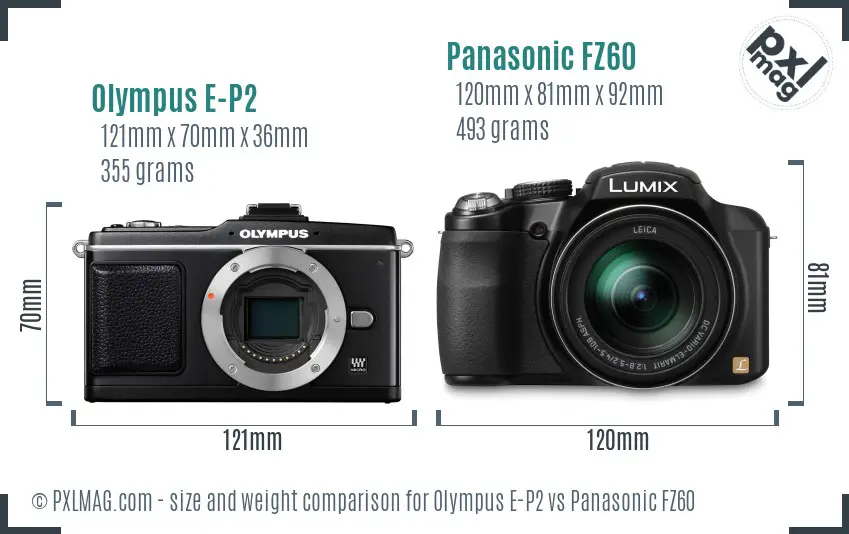 Olympus E-P2 vs Panasonic FZ60 size comparison